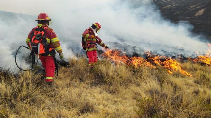 Atacar el fuego con fuego es una técnica válida y ampliamente utilizada en el combate de incendios forestales.