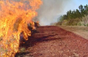 Atacar el fuego con fuego es una técnica válida y ampliamente utilizada en el combate de incendios forestales.